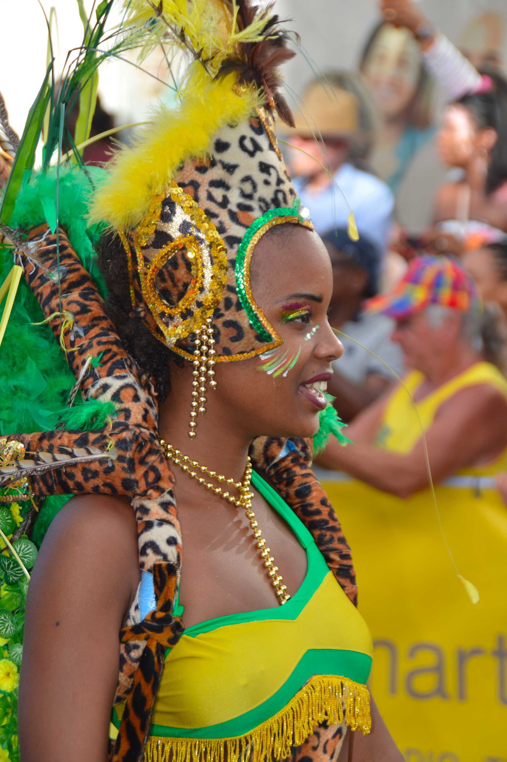 Carnaval à Rivière-Salée 2018