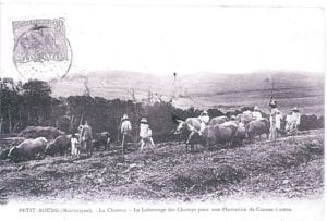 Rivière-salée Martinique - photos anciennes