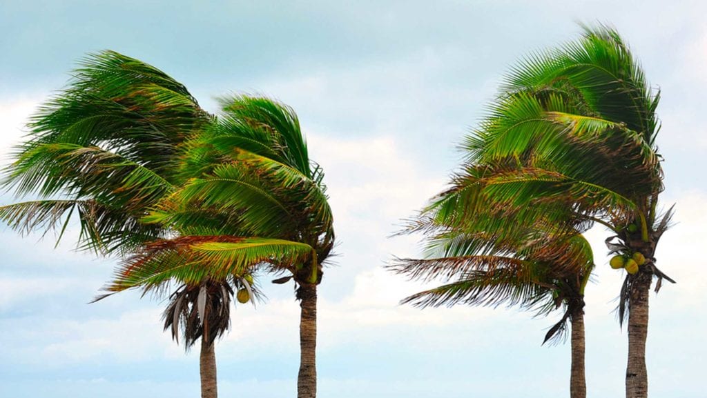 Cyclone - préparation - Martinique